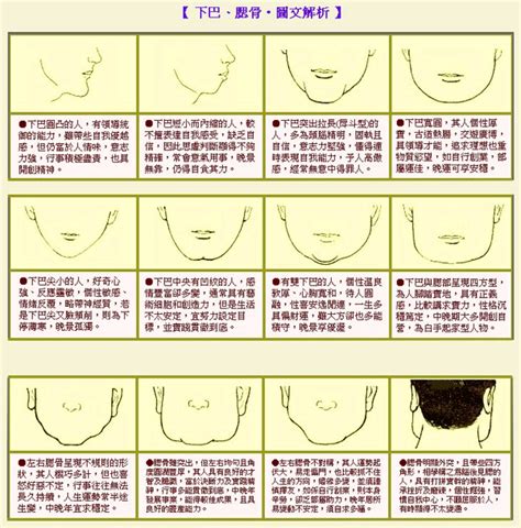 厚道 面相|面相大全——下巴